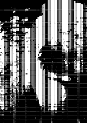 [t×6s]_[eb8bb589-c18f-42f6-84a8-56c6ca13a0a1]_2026-04-15_11-54-27.png